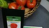 Tomato variety "Aleno sartse” (Ruby Heart)