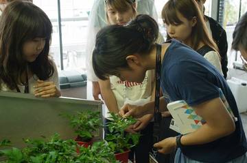 Group of students exploring all about tomatoes